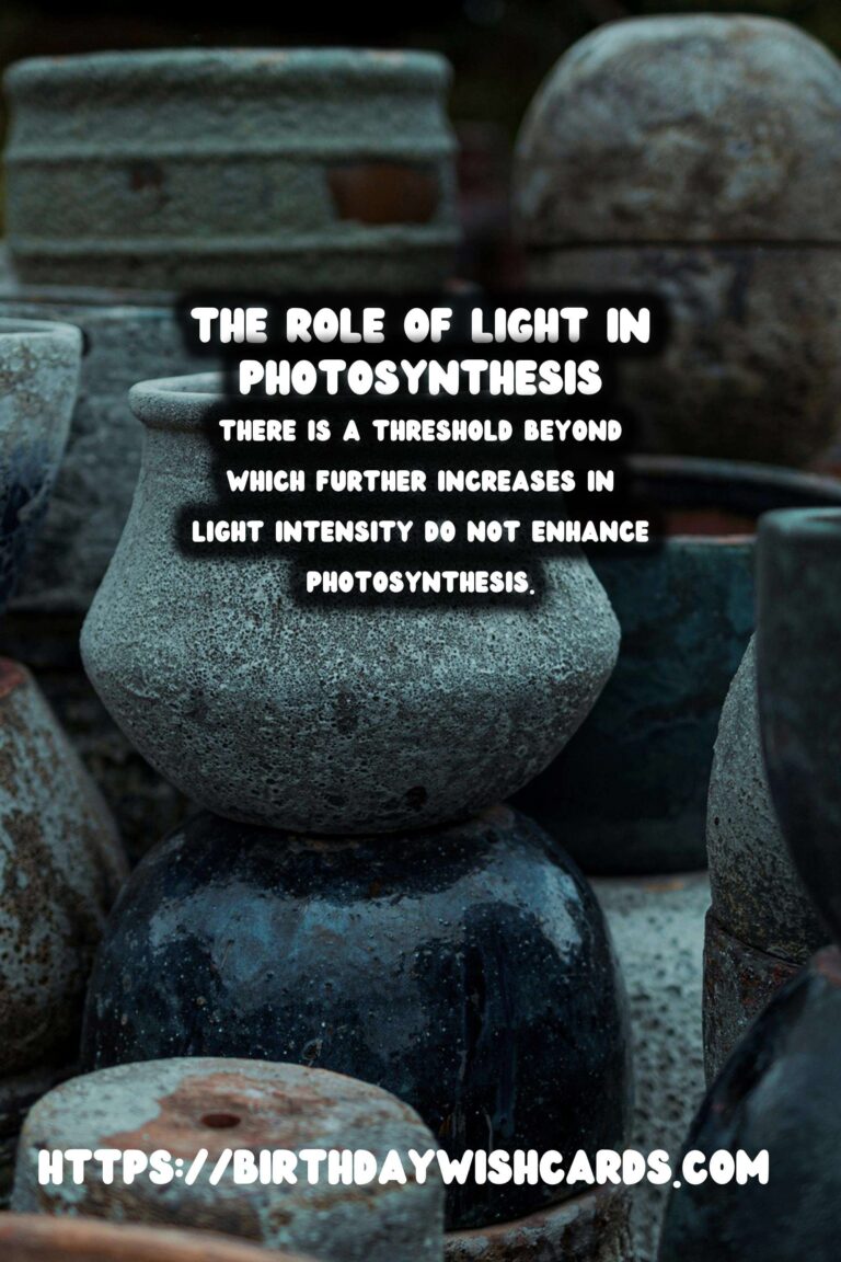 Understanding Plant Photosynthesis and the Role of Light Intensity