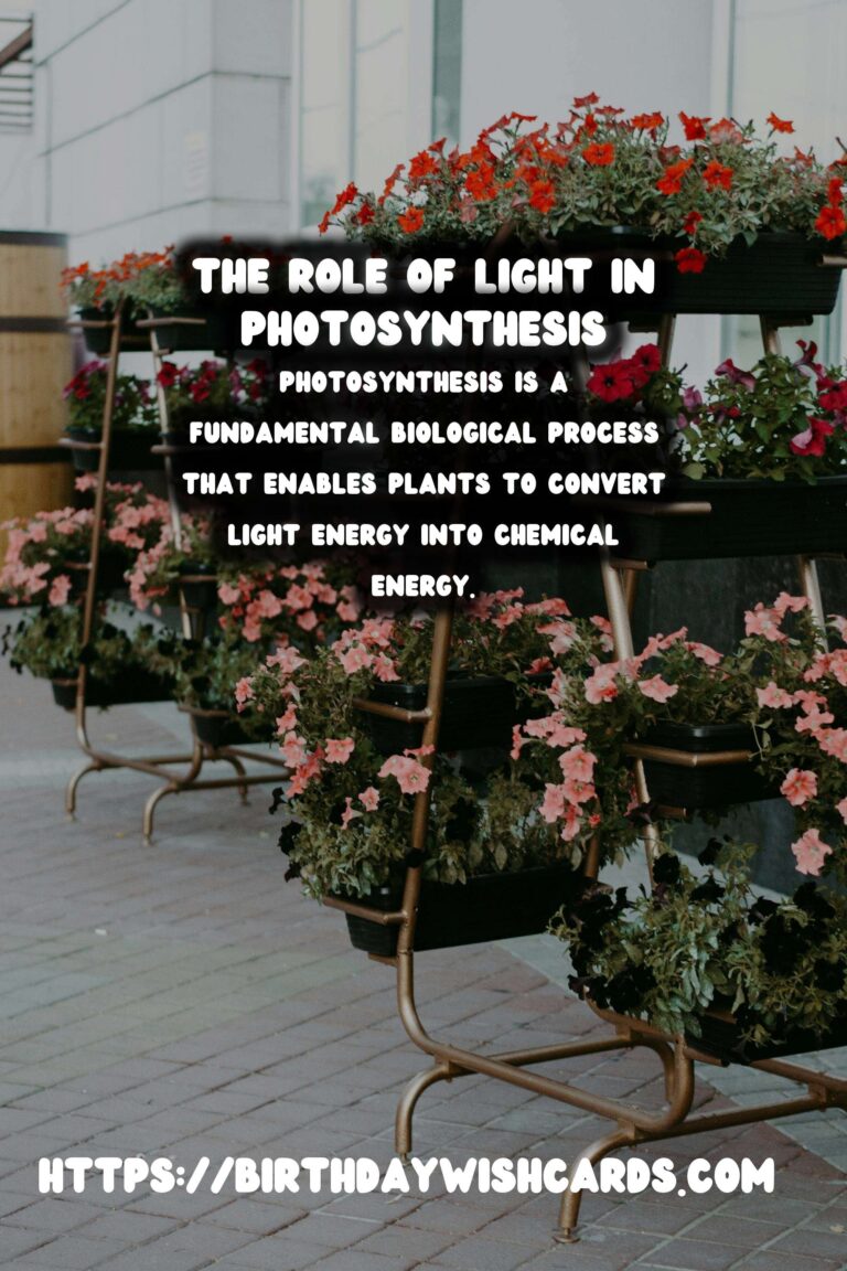Understanding Plant Photosynthesis and the Role of Light Intensity