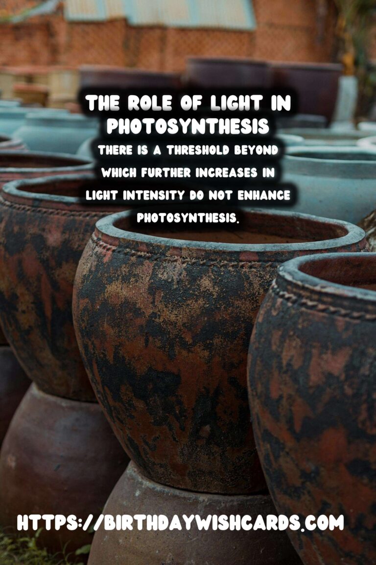 Understanding Plant Photosynthesis and the Role of Light Intensity