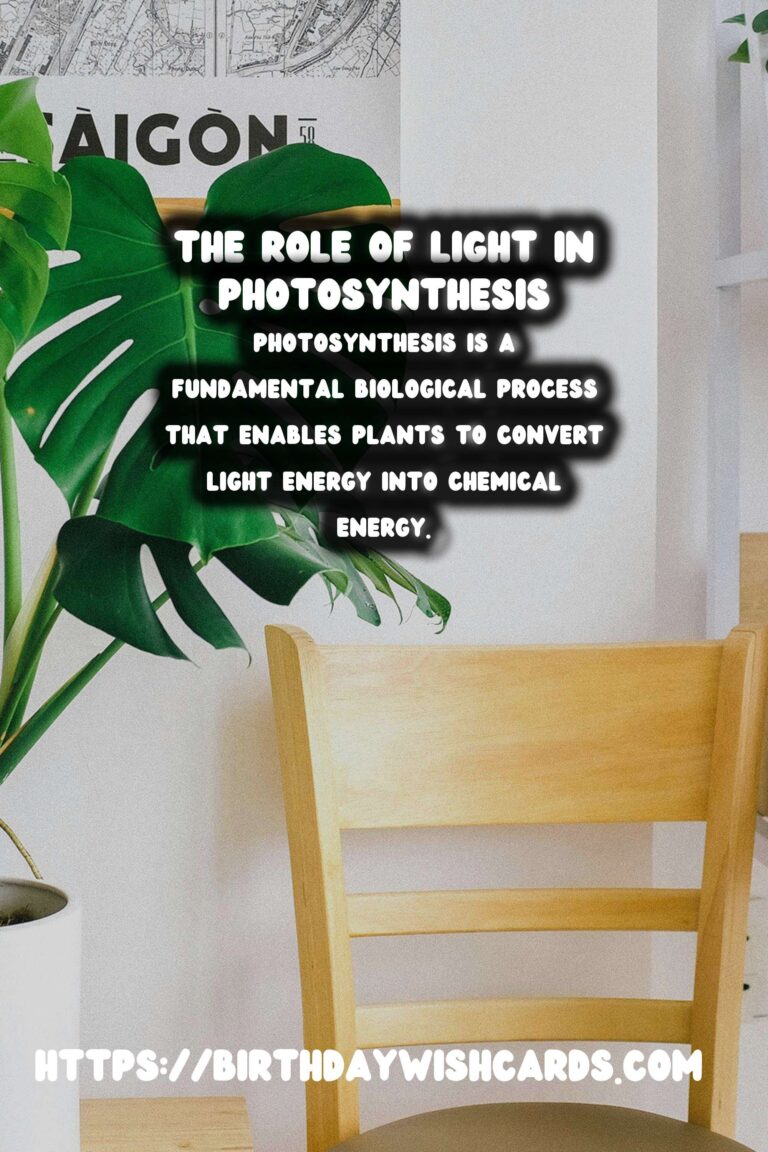 Understanding Plant Photosynthesis and the Role of Light Intensity