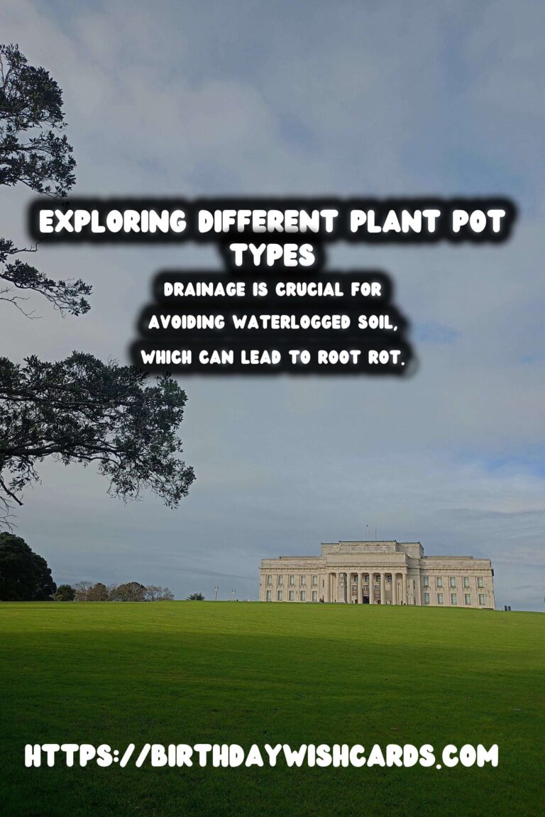 Understanding Plant Pots: Drainage and Material for Healthy Growth