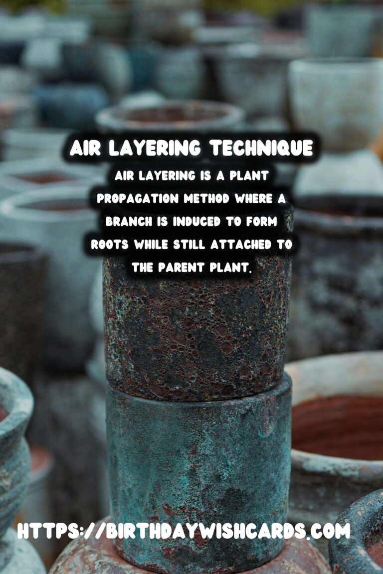 Understanding Plant Propagation: Air Layering Explained