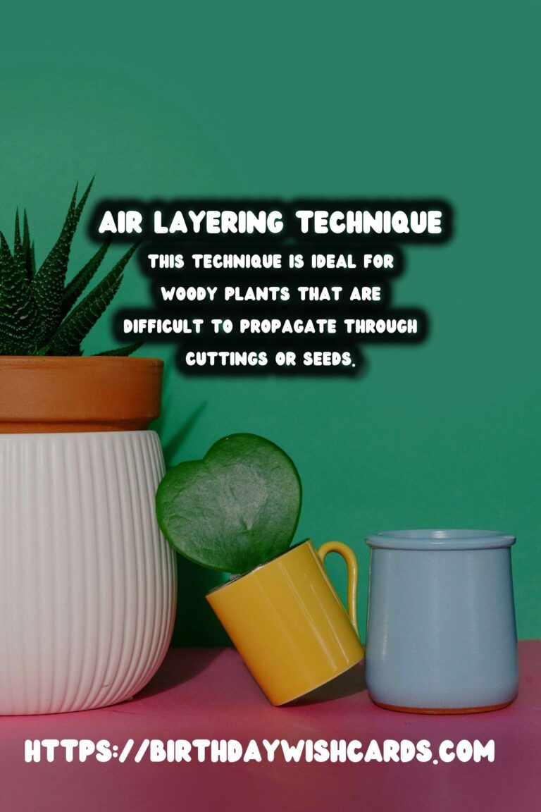 Understanding Plant Propagation: Air Layering Explained