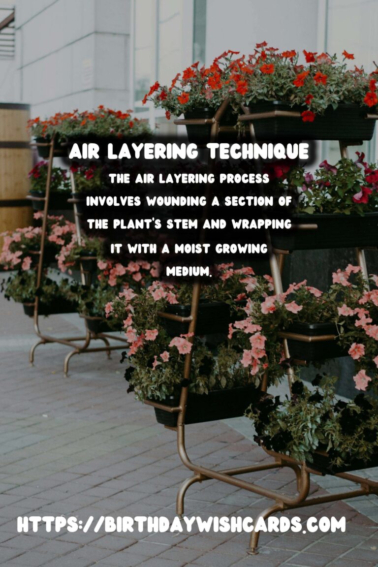 Understanding Plant Propagation: Air Layering Explained