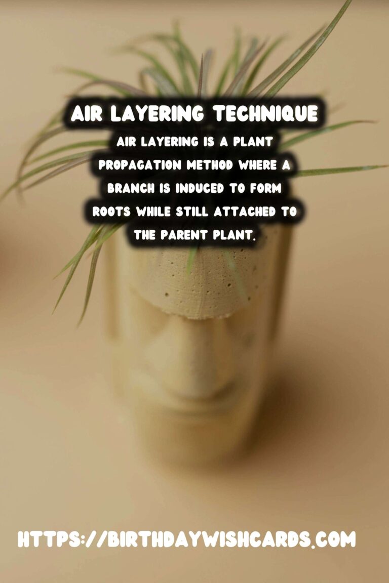 Understanding Plant Propagation: Air Layering Explained