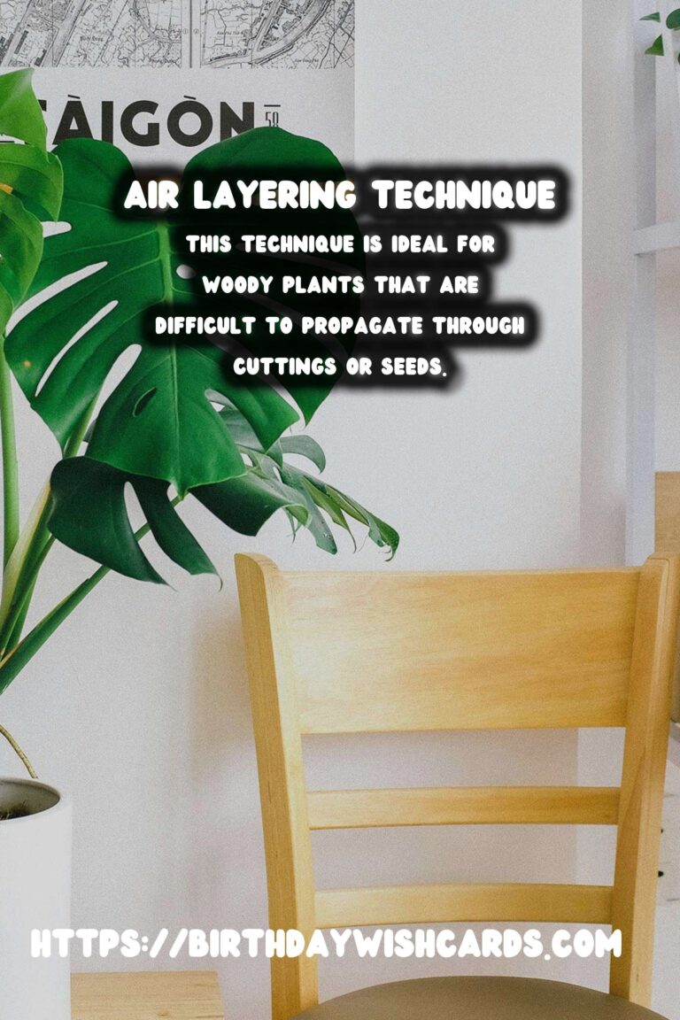 Understanding Plant Propagation: Air Layering Explained