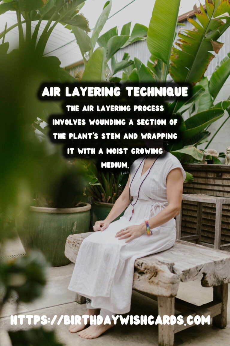 Understanding Plant Propagation: Air Layering Explained