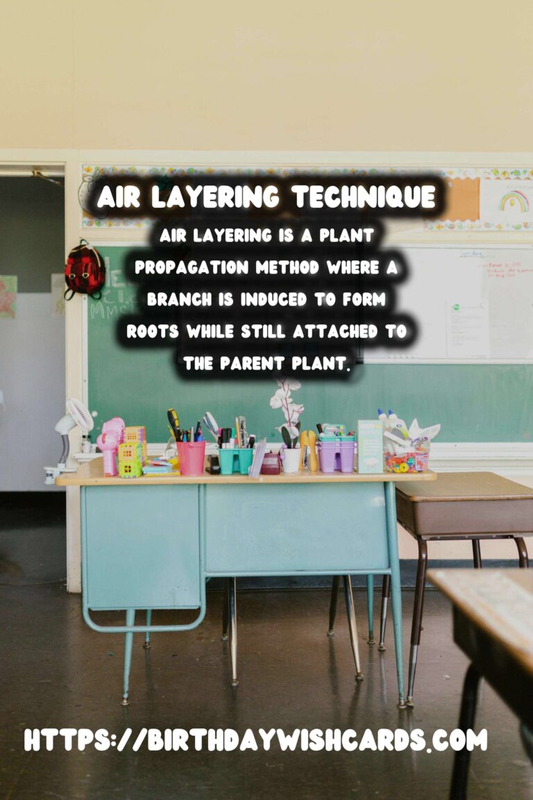 Understanding Plant Propagation: Air Layering Explained