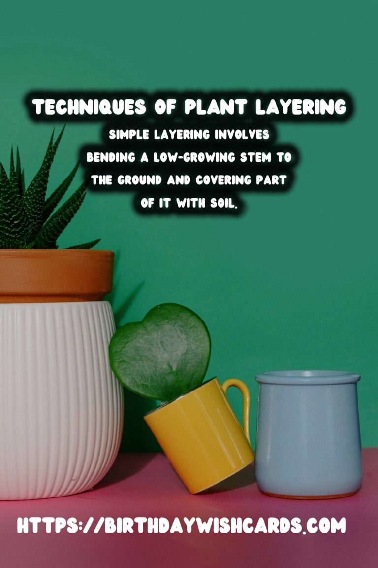 Understanding Plant Propagation: Layering Techniques and Benefits