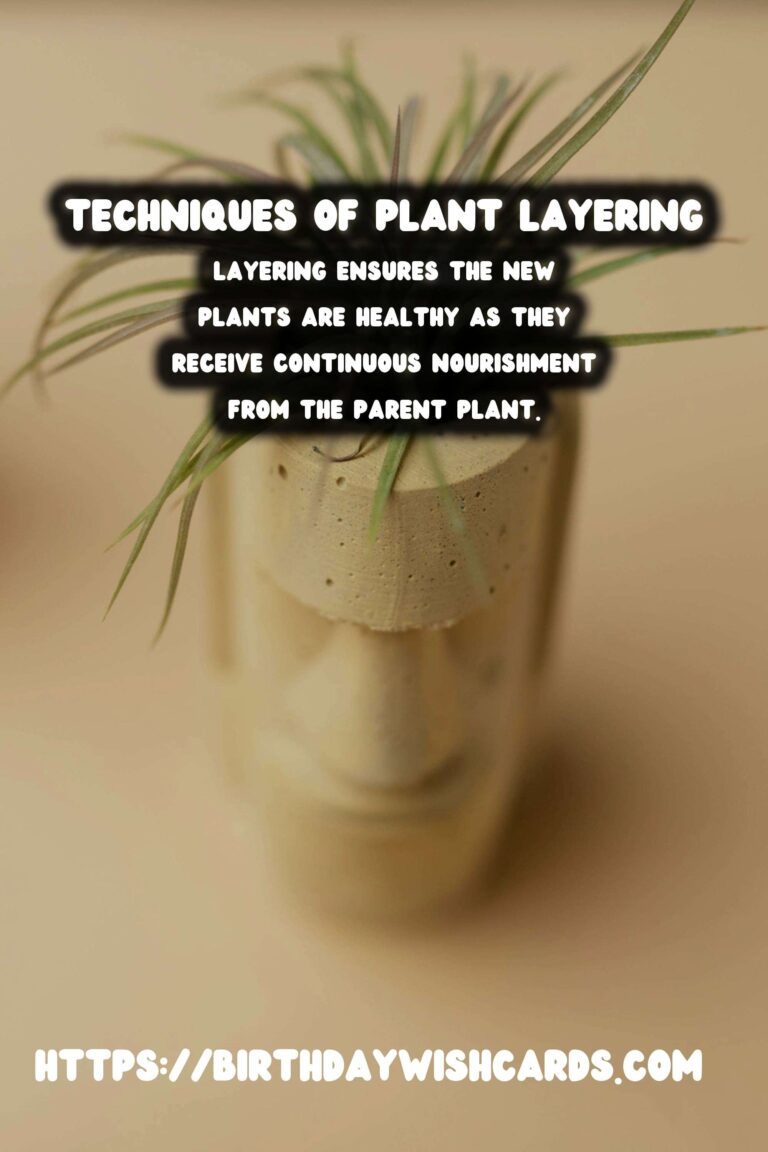 Understanding Plant Propagation: Layering Techniques and Benefits