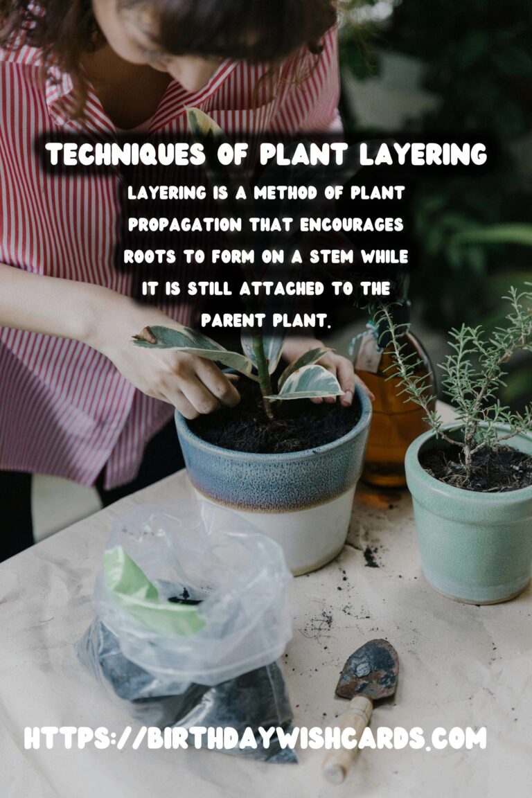 Understanding Plant Propagation: Layering Techniques and Benefits