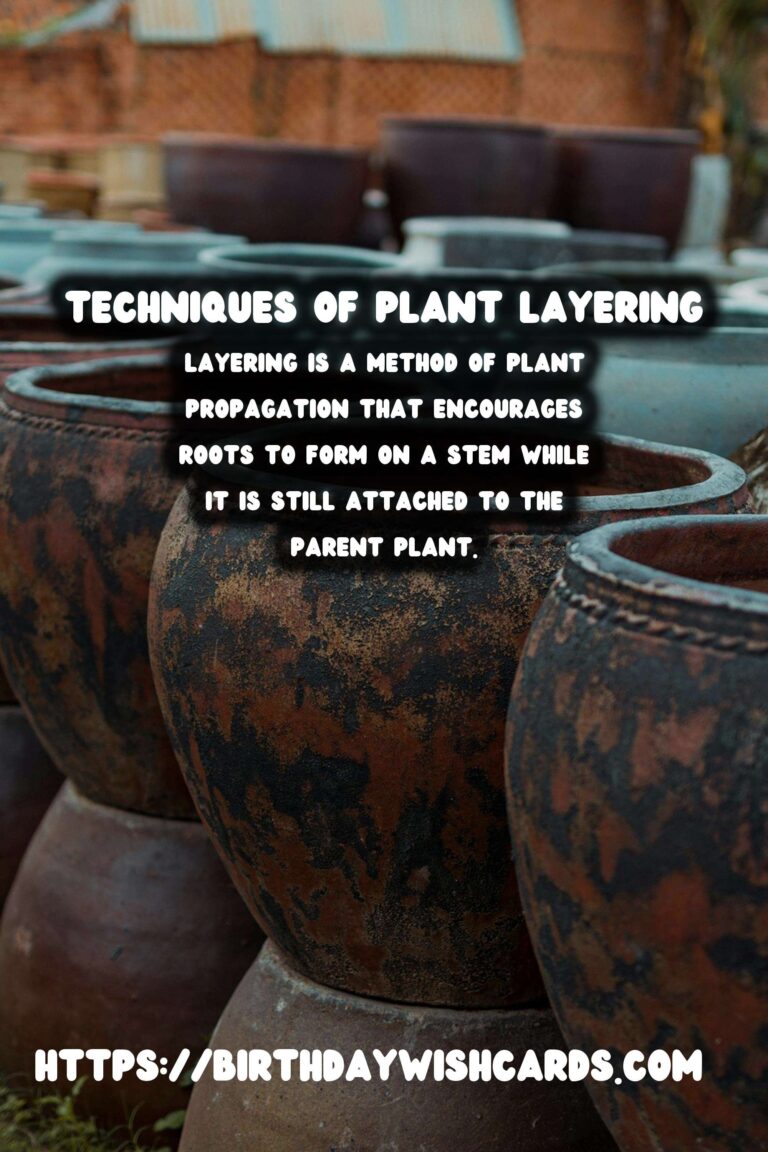 Understanding Plant Propagation: Layering Techniques and Benefits