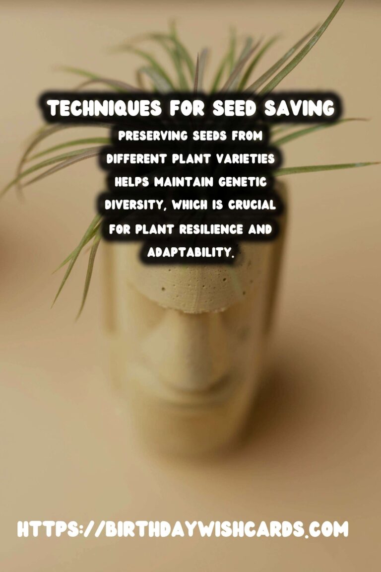 Understanding Plant Propagation Methods: Seed Saving