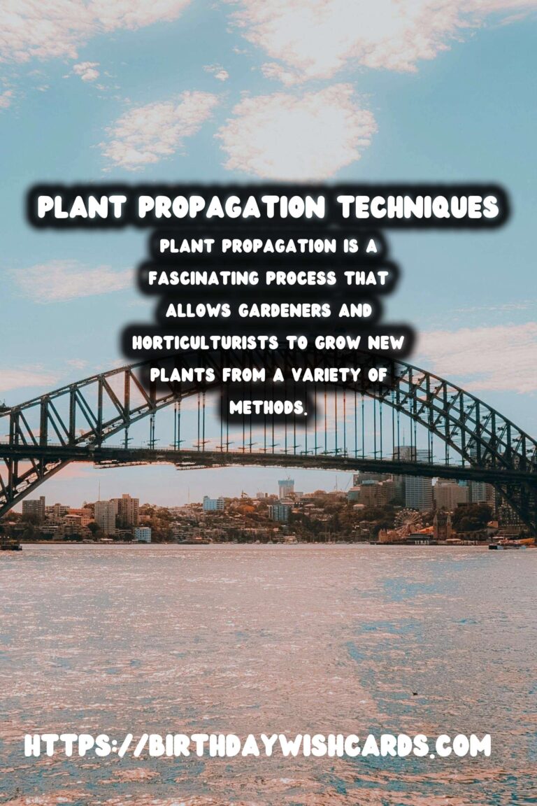 Understanding Plant Propagation Methods: Seeds to Cuttings