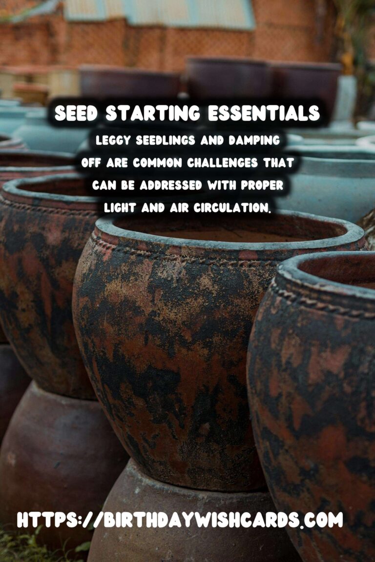 Understanding Plant Propagation: Seed Starting Guide