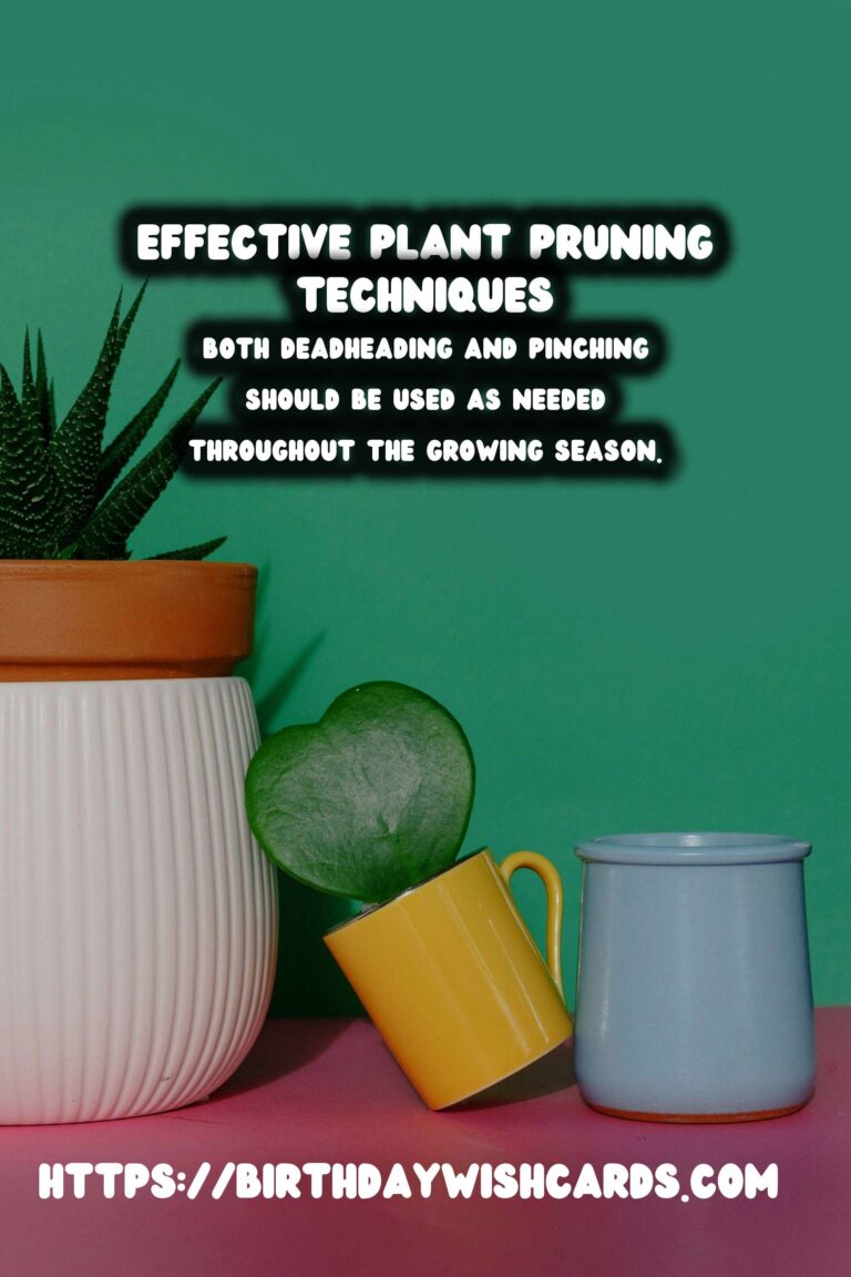 Understanding Plant Pruning: Techniques of Deadheading & Pinching