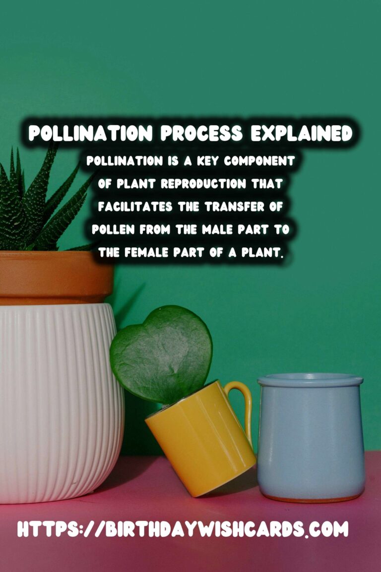 Understanding Plant Reproduction: Pollination Explained