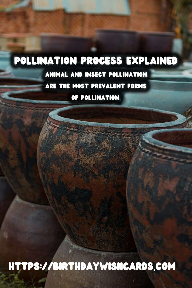 Understanding Plant Reproduction: Pollination Explained