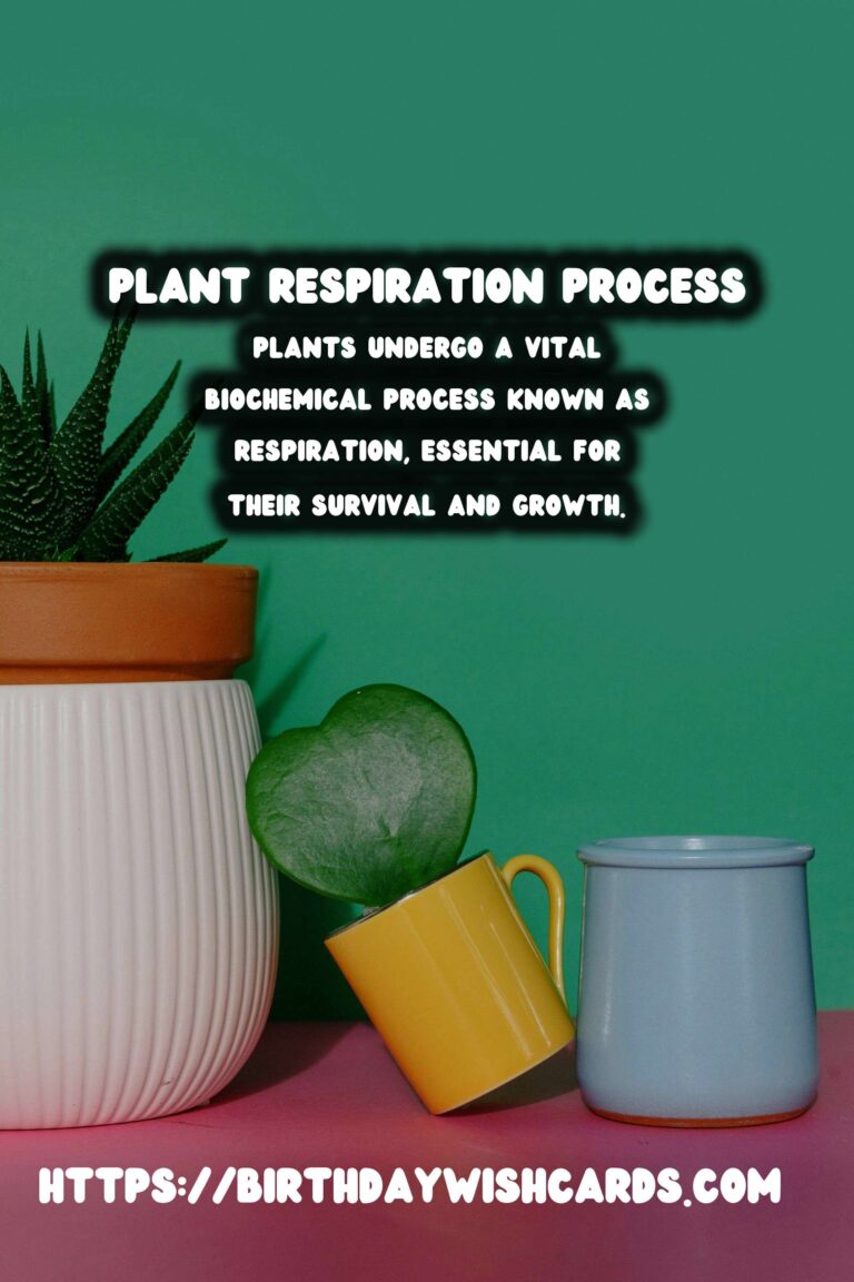 Understanding Plant Respiration: Night vs. Day