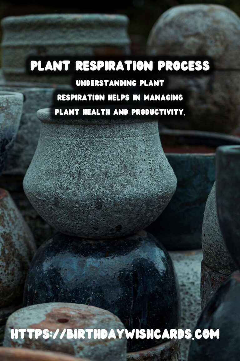 Understanding Plant Respiration: Night vs. Day