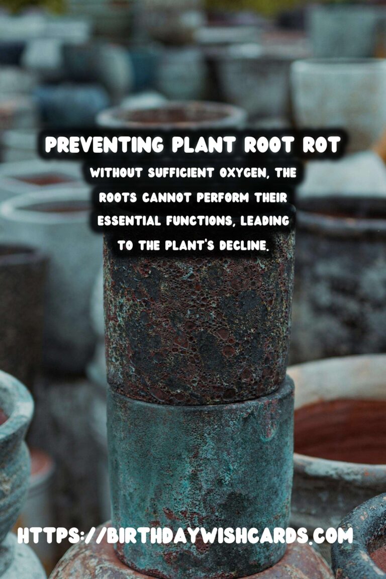 Understanding Plant Root Rot: Essential Prevention Tips
