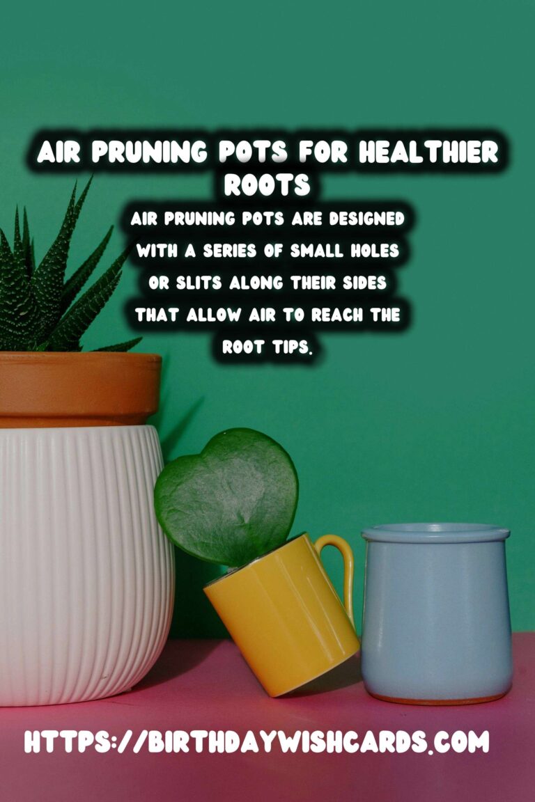 Understanding Plant Root Systems: Air Pruning Pots