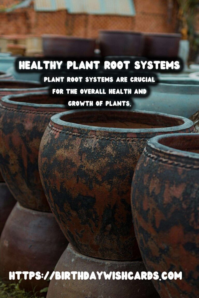Understanding Plant Root Systems: Avoiding Overwatering Damage