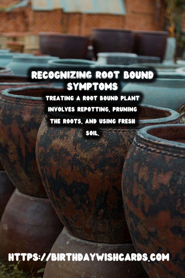 Understanding Plant Root Systems: Recognizing Root Bound Symptoms