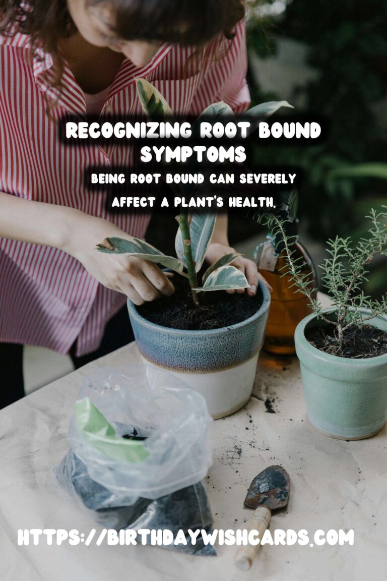Understanding Plant Root Systems: Recognizing Root Bound Symptoms