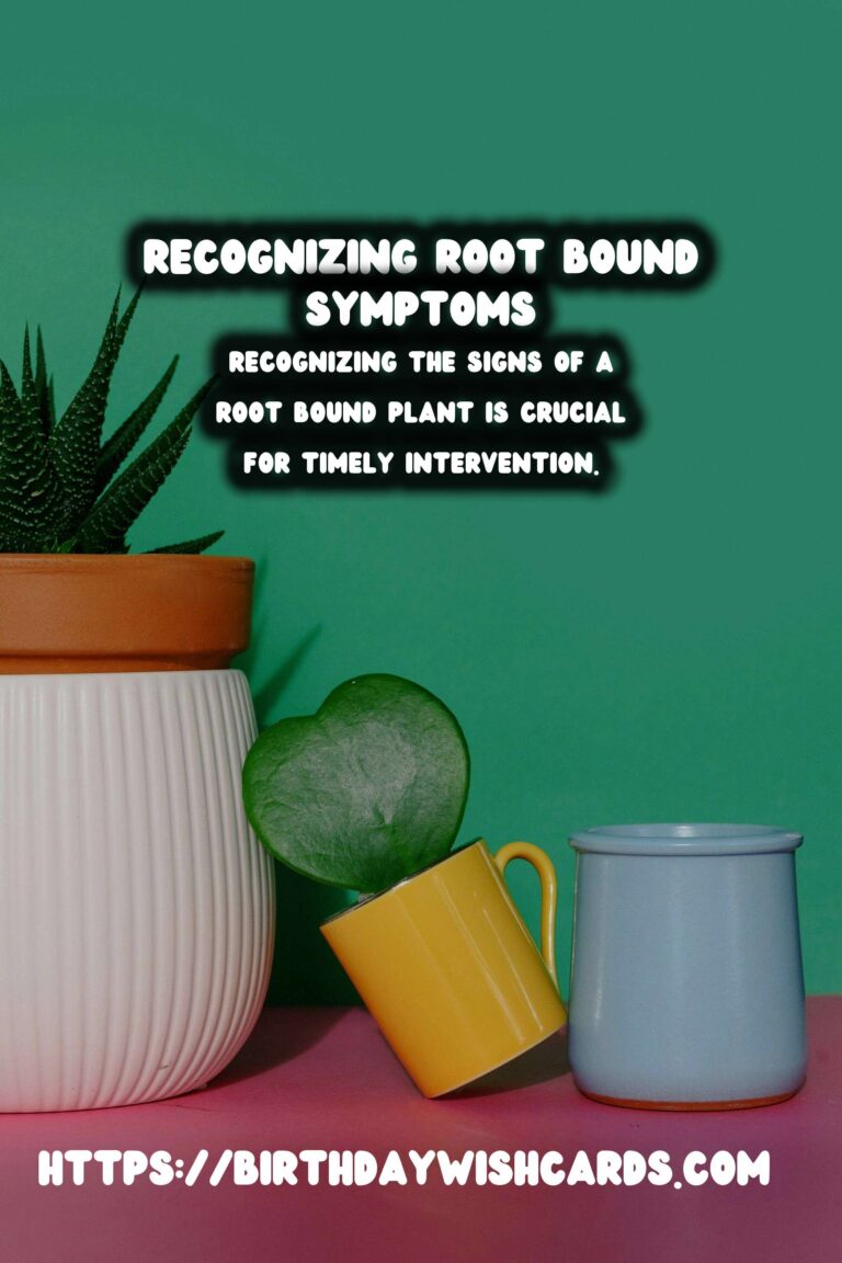 Understanding Plant Root Systems: Recognizing Root Bound Symptoms