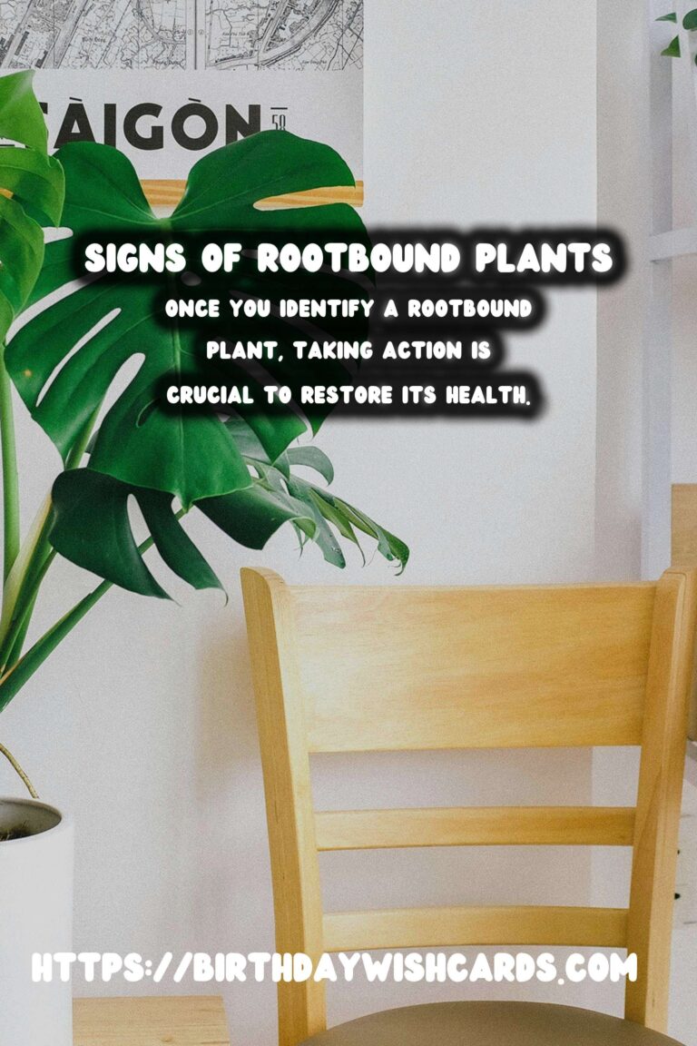 Understanding Plant Root Systems: Recognizing Rootbound Symptoms