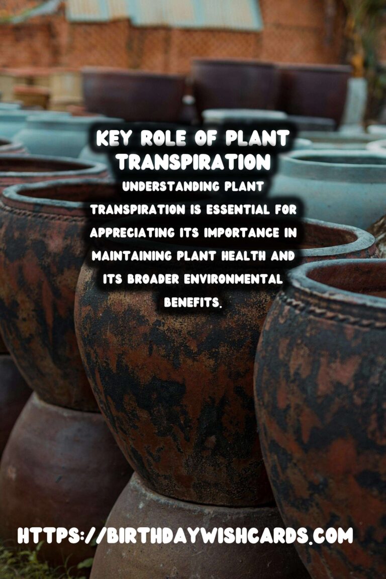Understanding Plant Transpiration: Importance for Health