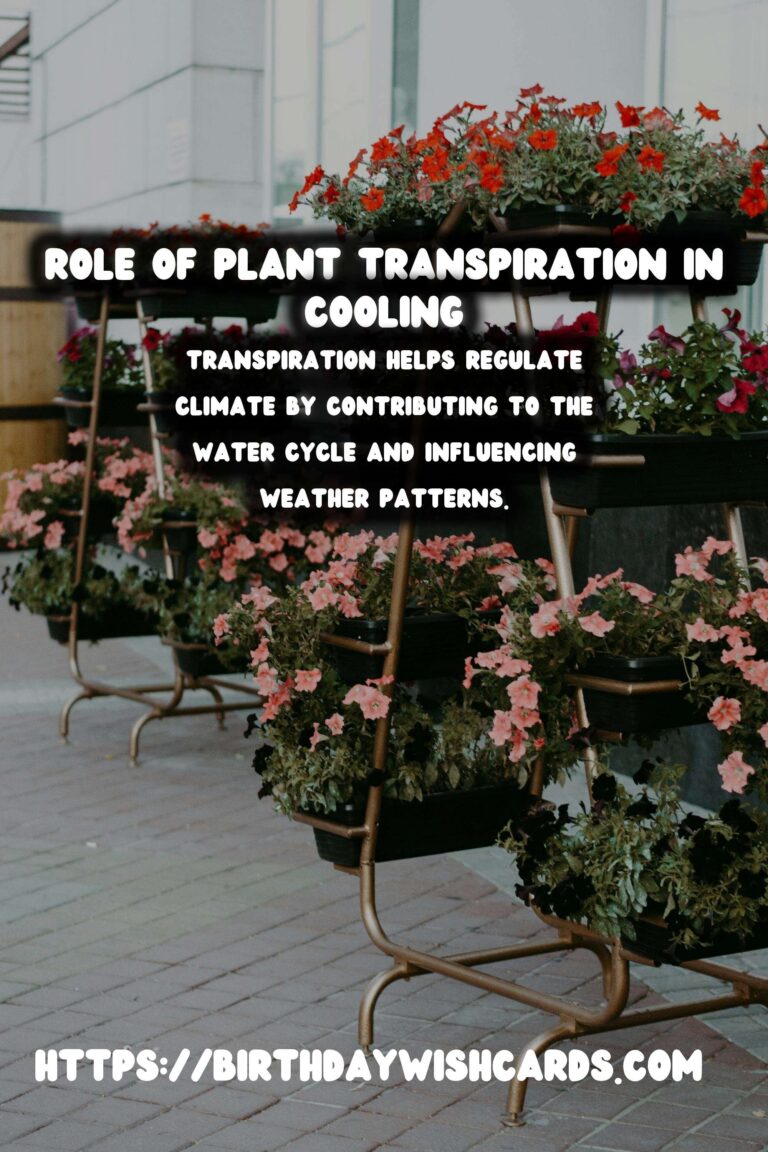 Understanding Plant Transpiration: Role in Cooling and Climate Regulation