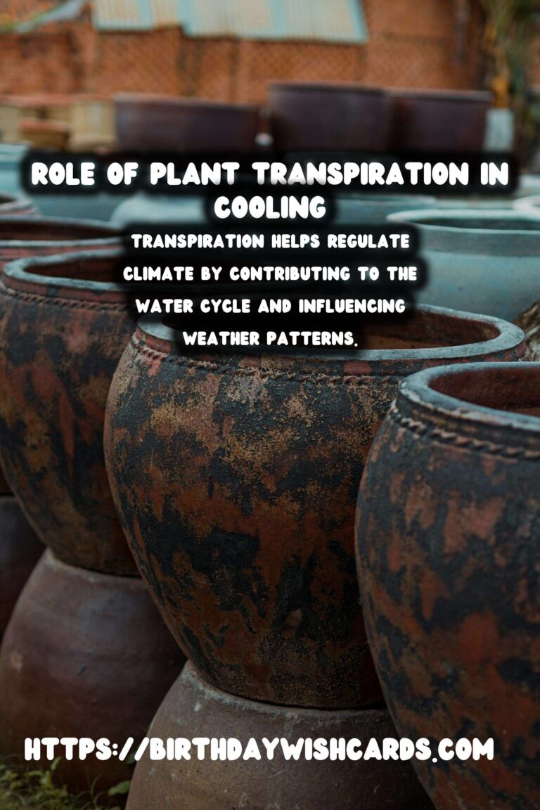 Understanding Plant Transpiration: Role in Cooling and Climate Regulation
