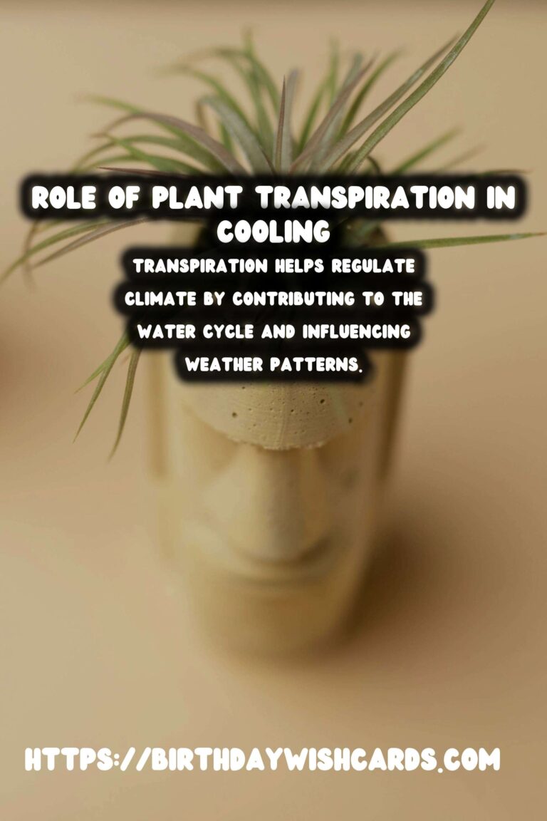 Understanding Plant Transpiration: Role in Cooling and Climate Regulation