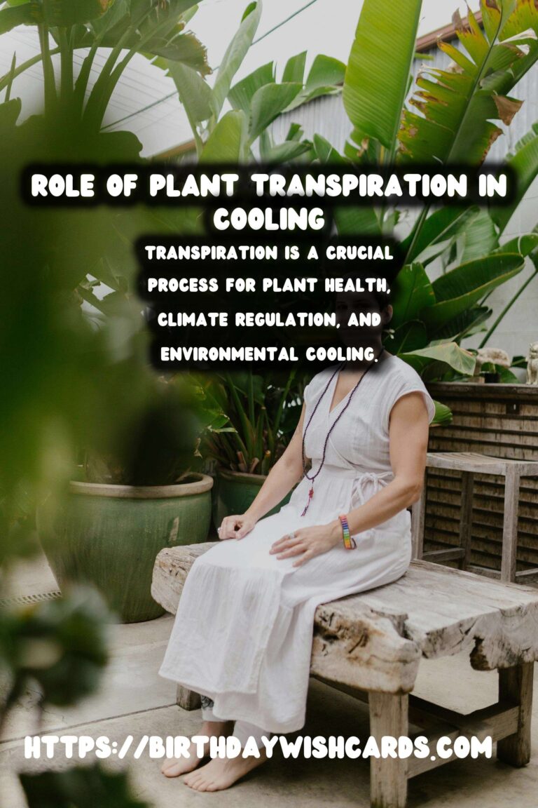 Understanding Plant Transpiration: Role in Cooling and Climate Regulation