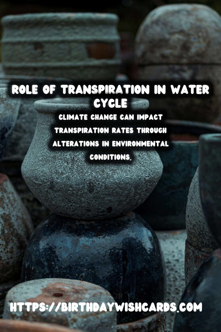 Understanding Plant Transpiration: Role in Water Cycle