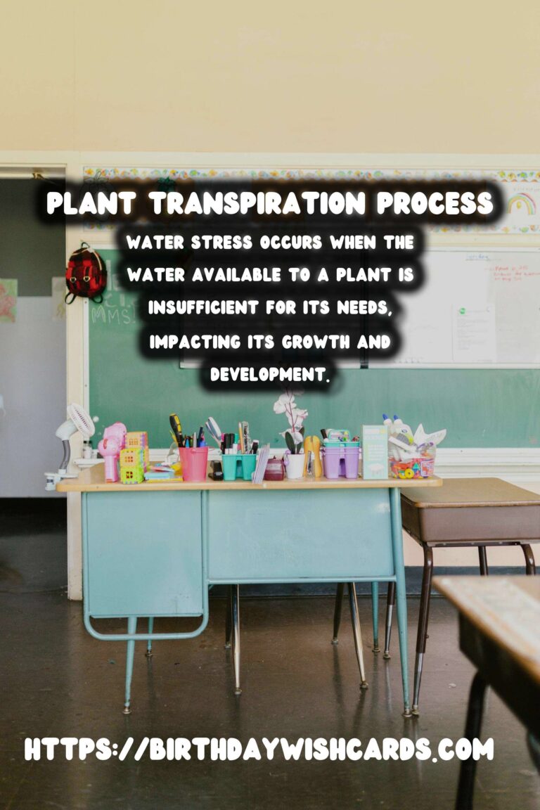 Understanding Plant Transpiration and Water Stress: Key Insights