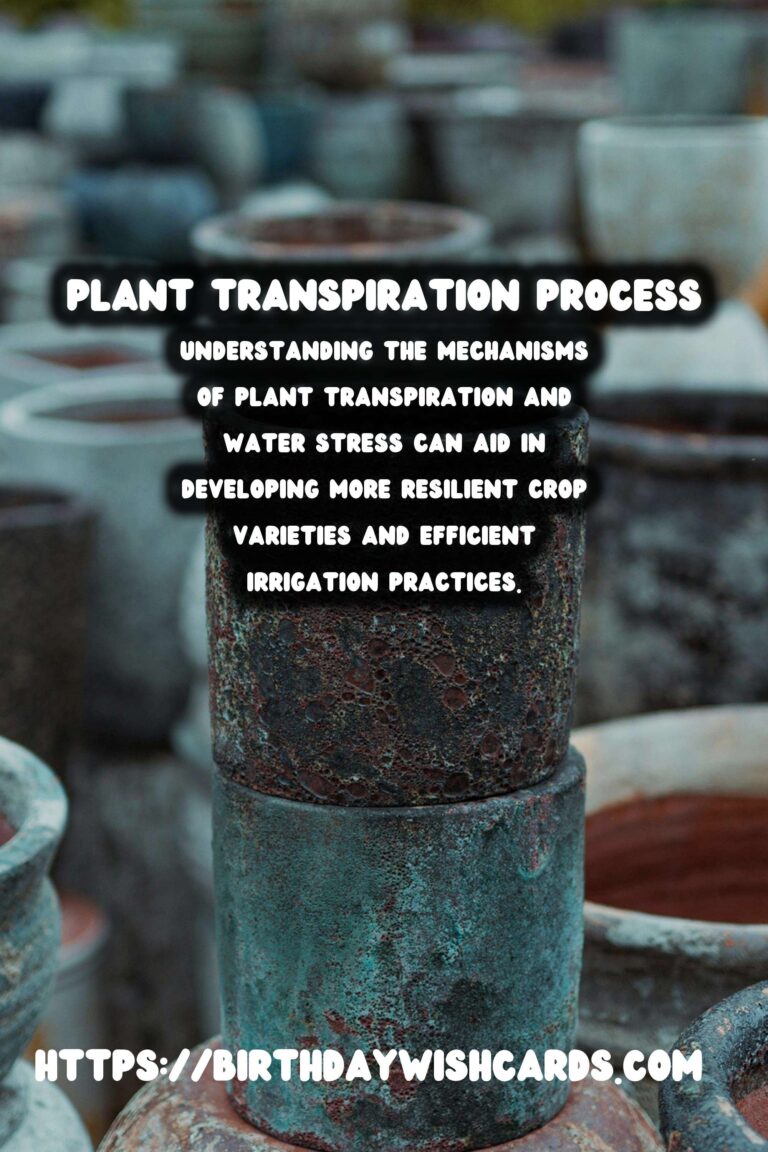 Understanding Plant Transpiration and Water Stress: Key Insights