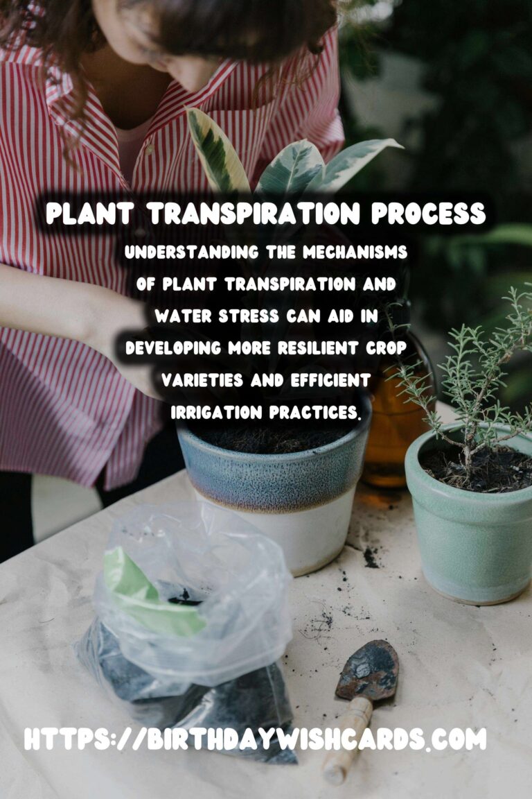 Understanding Plant Transpiration and Water Stress: Key Insights