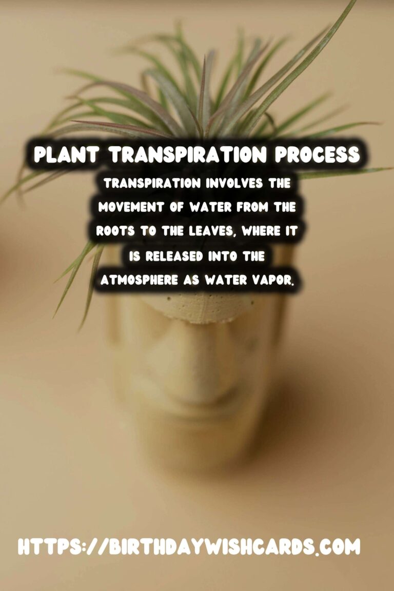 Understanding Plant Transpiration and Water Stress: Key Insights