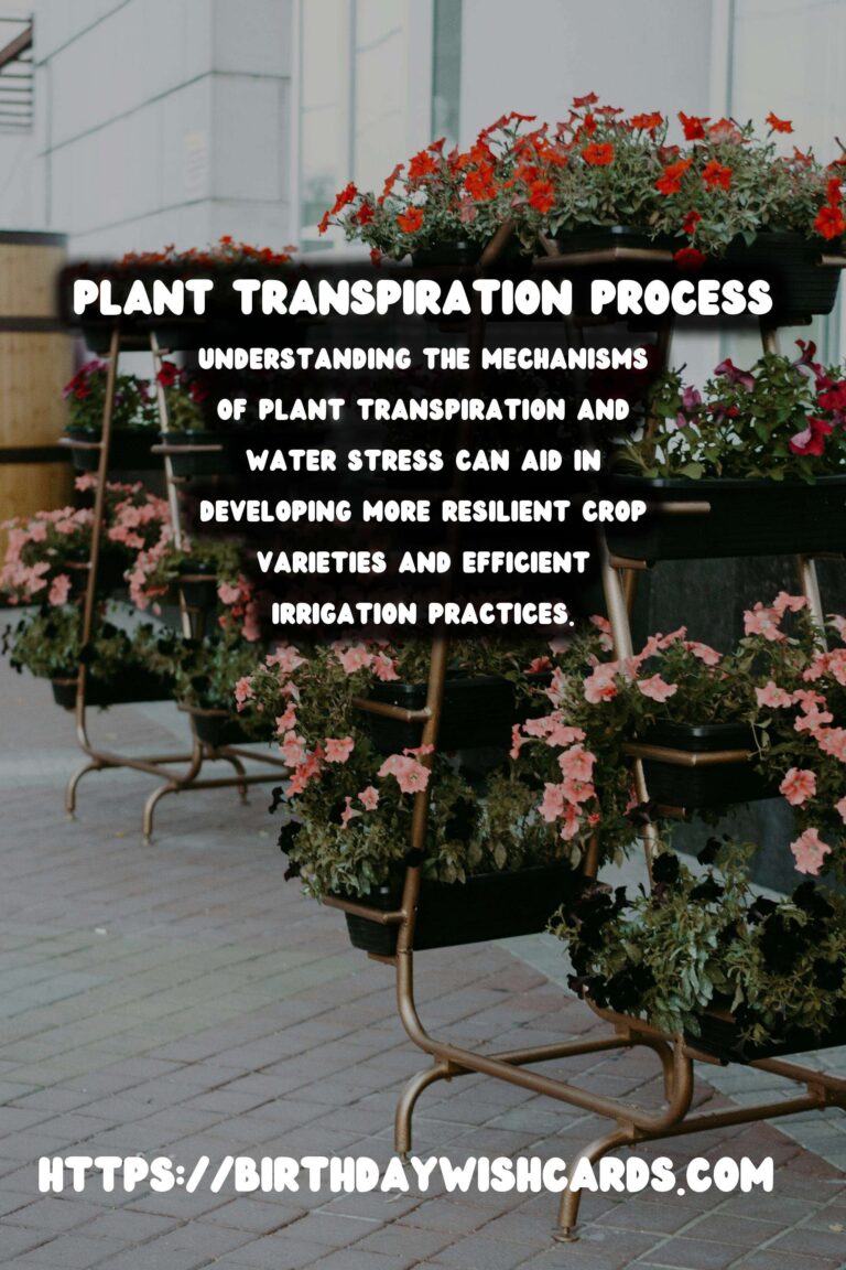 Understanding Plant Transpiration and Water Stress: Key Insights