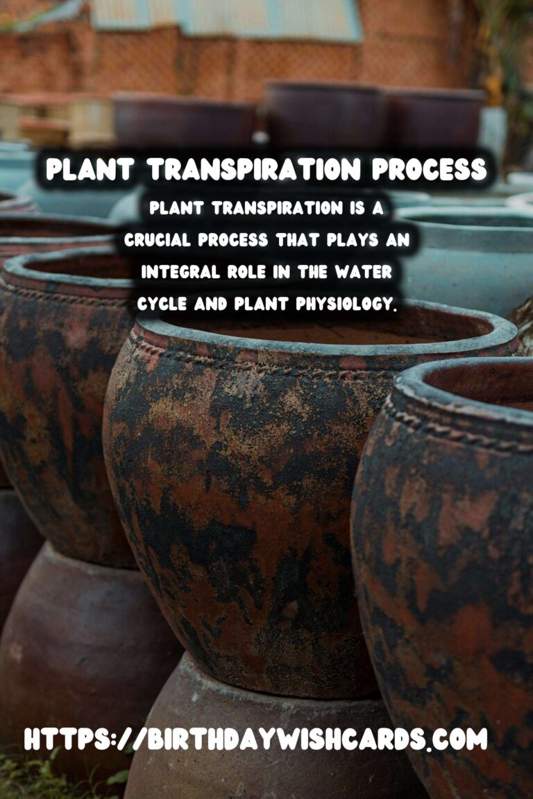 Understanding Plant Transpiration and Water Stress: Key Insights