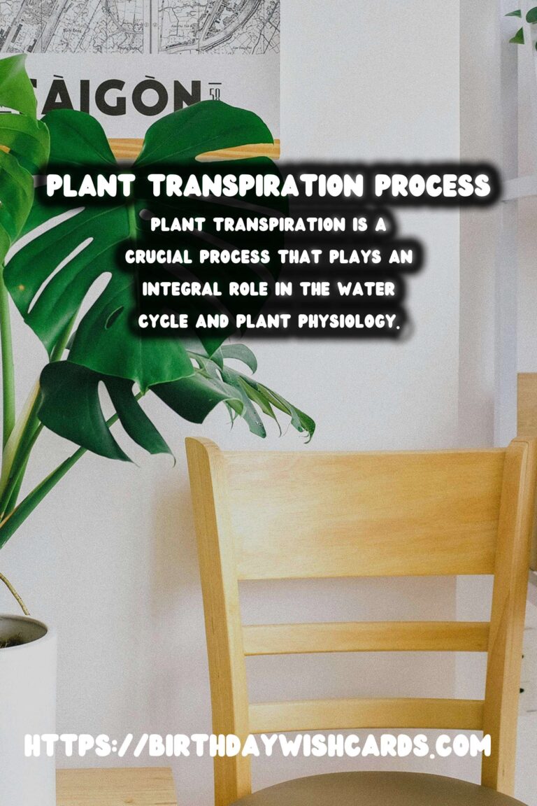 Understanding Plant Transpiration and Water Stress: Key Insights