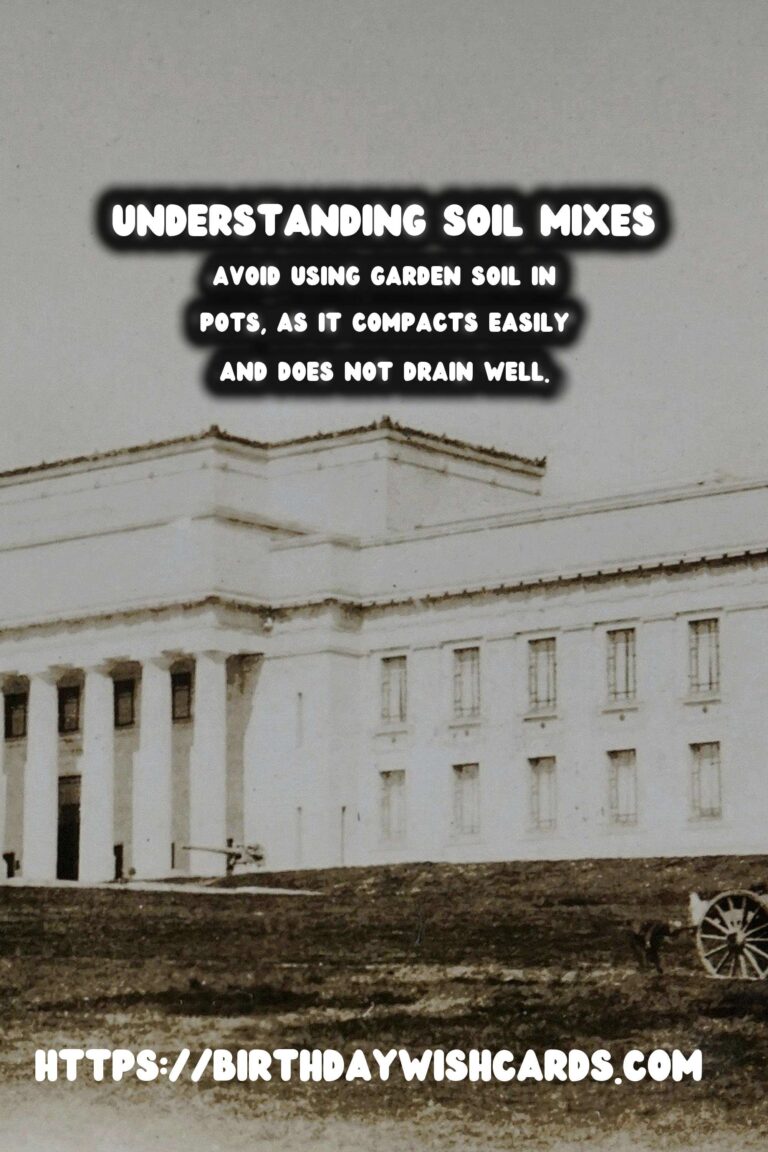 Understanding Soil Mixes for Happy Plants