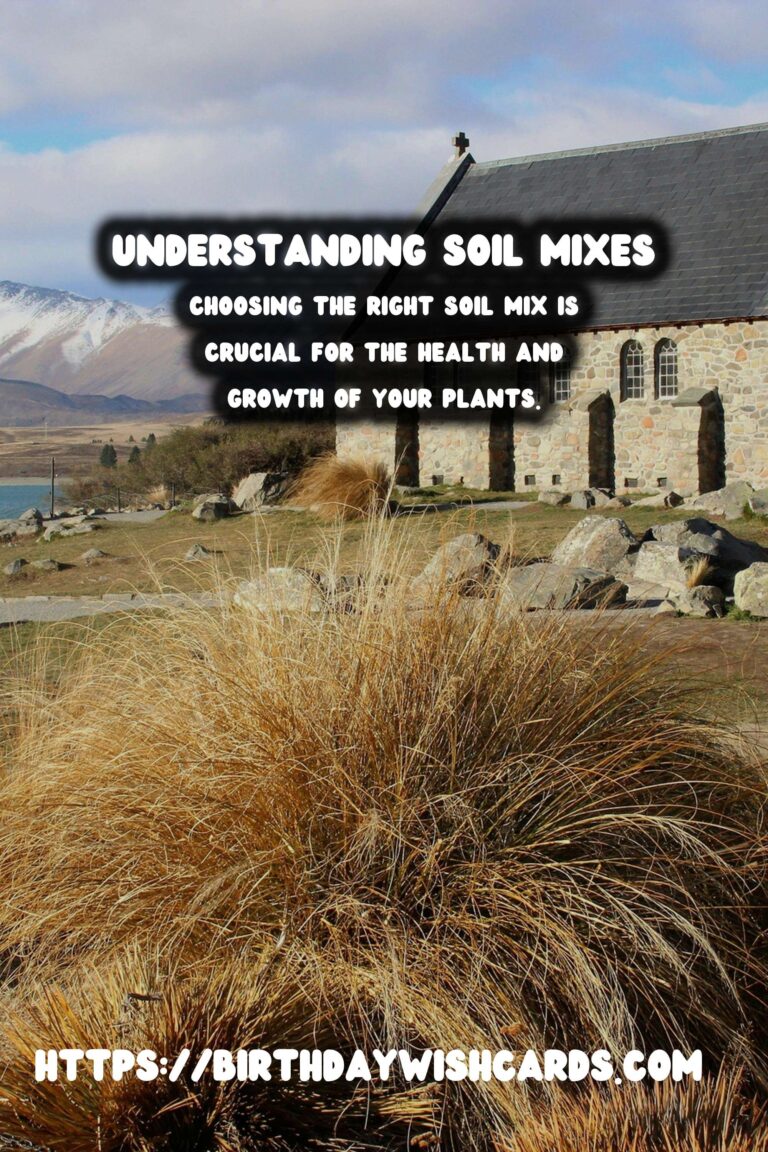 Understanding Soil Mixes for Happy Plants