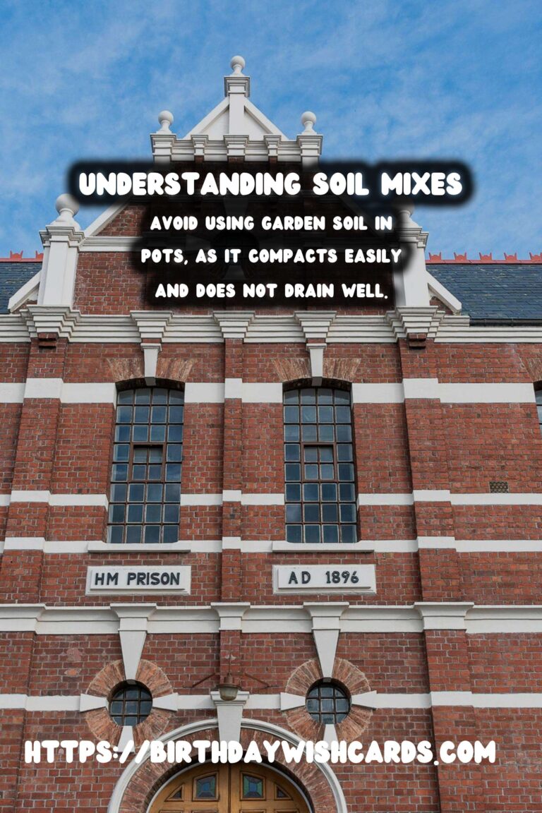Understanding Soil Mixes for Happy Plants