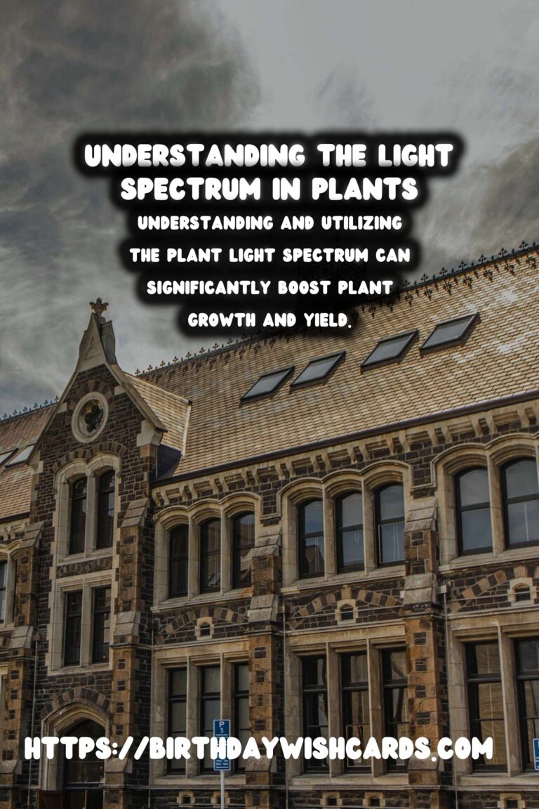 Understanding the Plant Light Spectrum: A Complete Guide