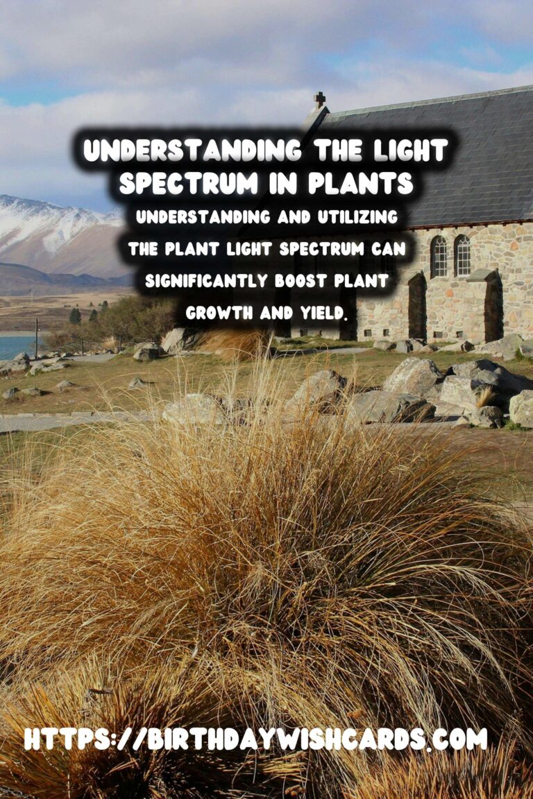 Understanding the Plant Light Spectrum: A Complete Guide