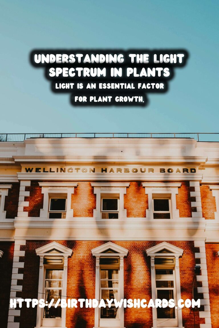 Understanding the Plant Light Spectrum: A Complete Guide